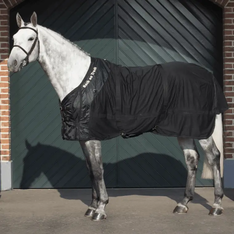 Netzdecke mit Welltex - IQ Horse