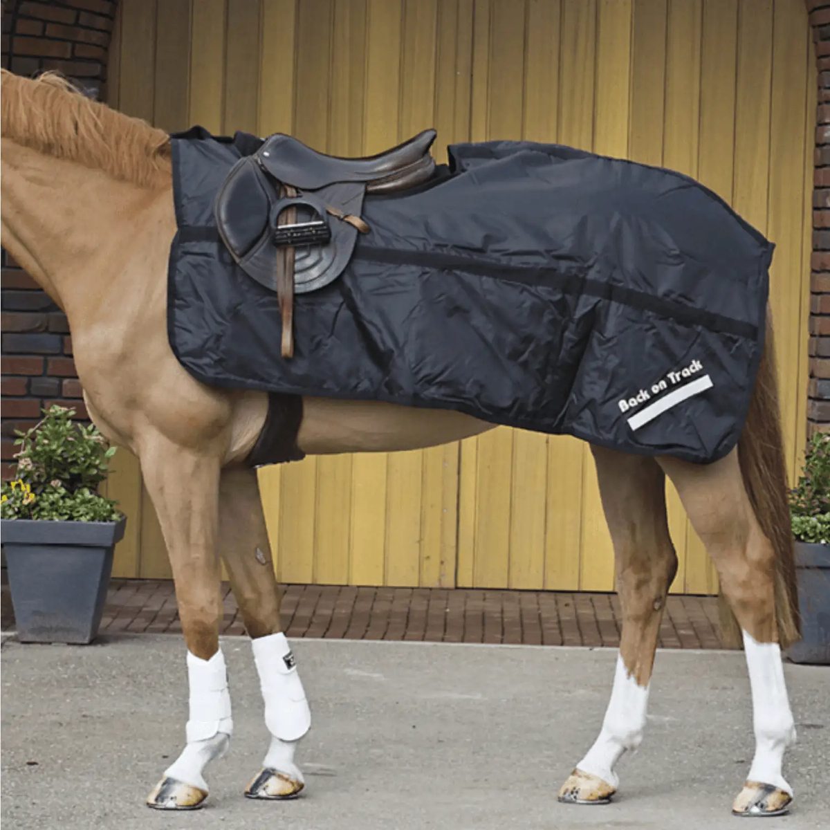 Back on Track Ausreit - /Nierendecke Haze, schwarz - IQ Horse