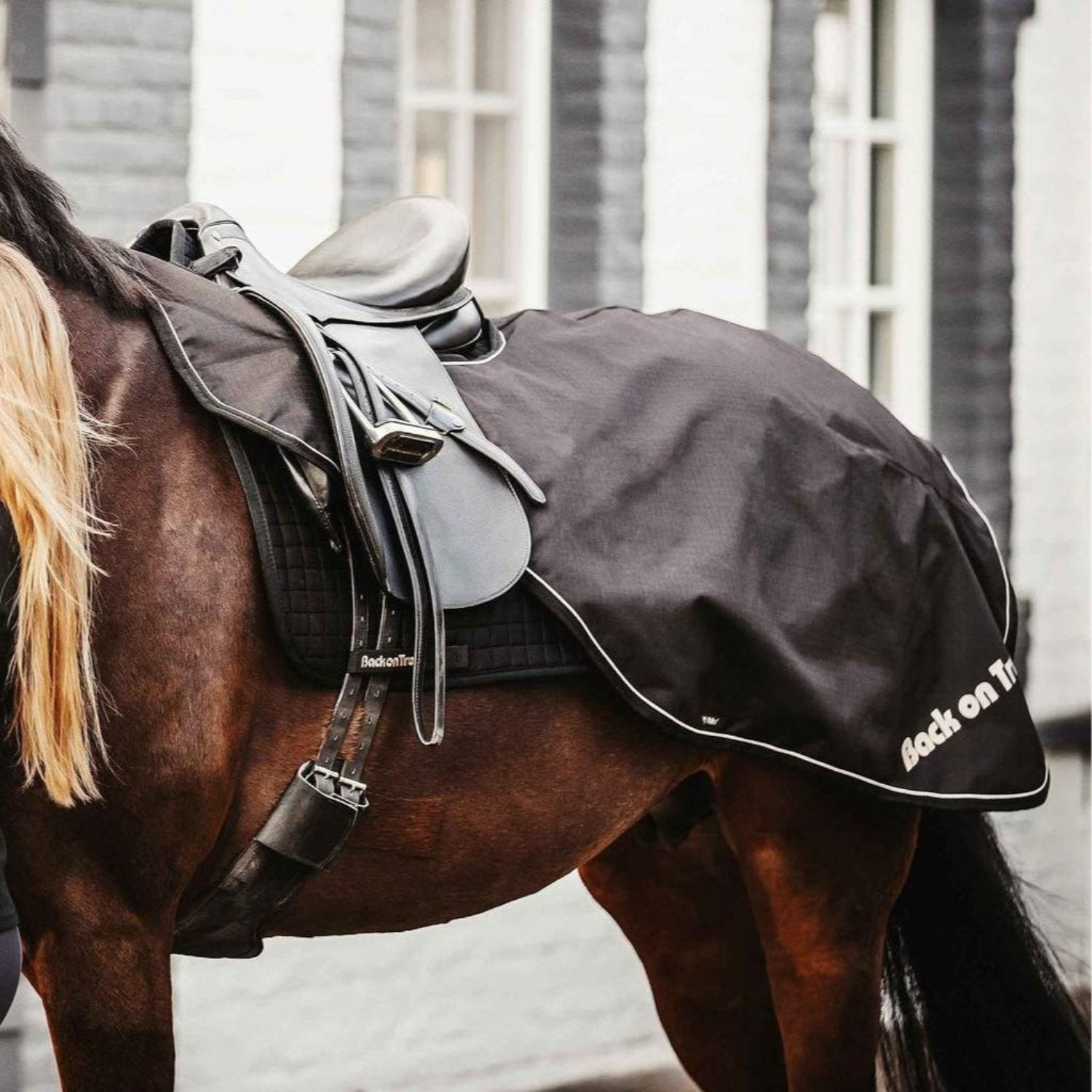Ausreit-/Nierendeck Sammy - IQ Horse