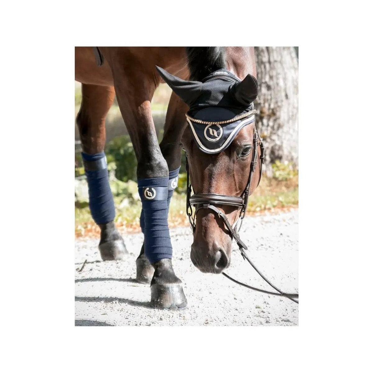 Back on Track Nights Collection Fliegenhaube, blau, Full - IQ Horse