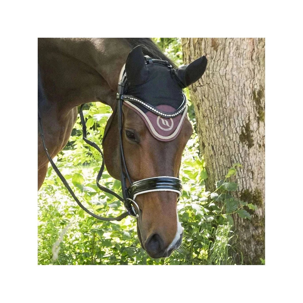 Back on Track Nights Collection Fliegenhaube, Coffee - IQ Horse