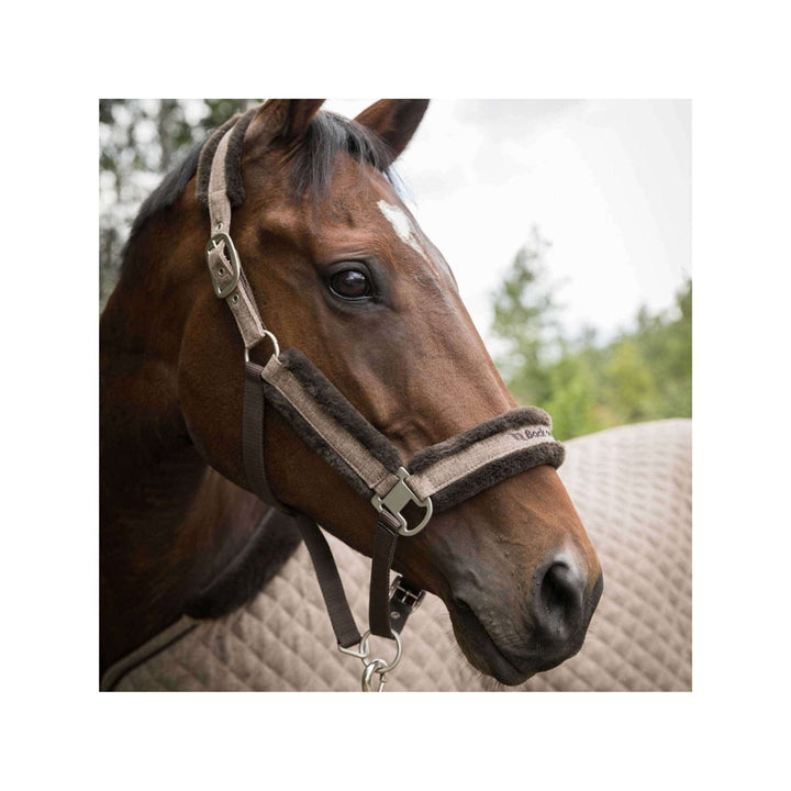 Back on Track Halfter Haze Collection, braun meliert - IQ Horse