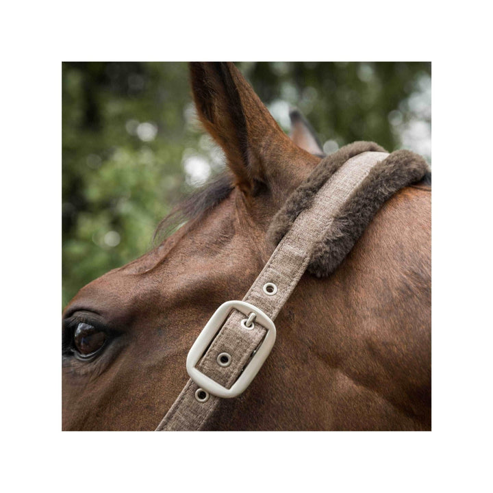 Back on Track Halfter Haze Collection, braun meliert - IQ Horse