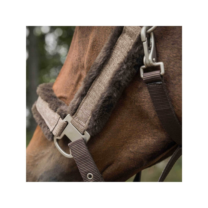 Back on Track Halfter Haze Collection, braun meliert - IQ Horse