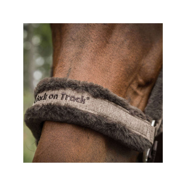 Back on Track Halfter Haze Collection, braun meliert - IQ Horse