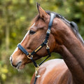 Leather Headcollar Soft CINTA, Black