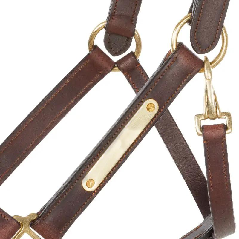 Kavalkade Lederhalfter Soft CINTA, Braun - IQ Horse