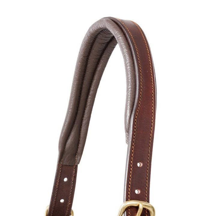 Kavalkade Lederhalfter Soft CINTA, Braun - IQ Horse