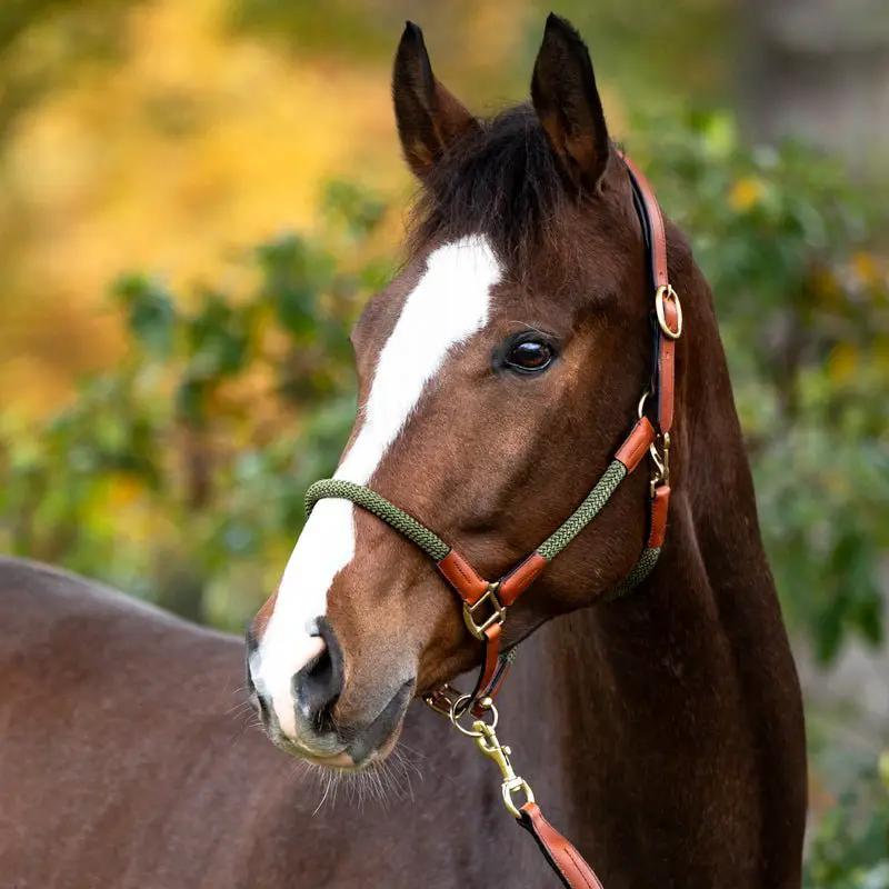Kavalkade Seil - Halfter CAVO mit Strick, cognac - khakigrün - IQ Horse