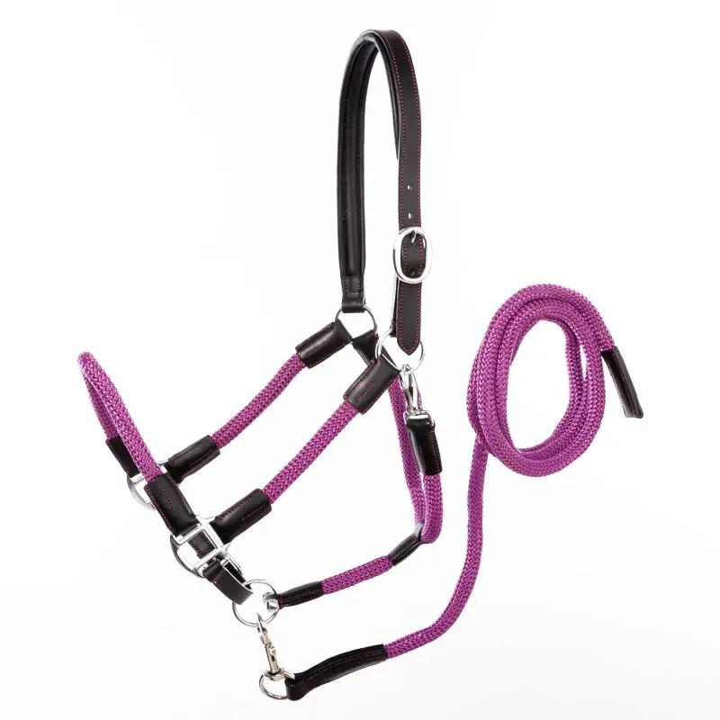 Kavalkade Seil - Halfter CAVO mit Strick, schwarz - lila - IQ Horse
