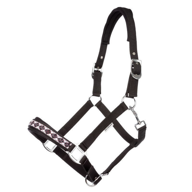 Kavalkade Perlon - Halfter ISLAND CLASSIC, schwarz - IQ Horse