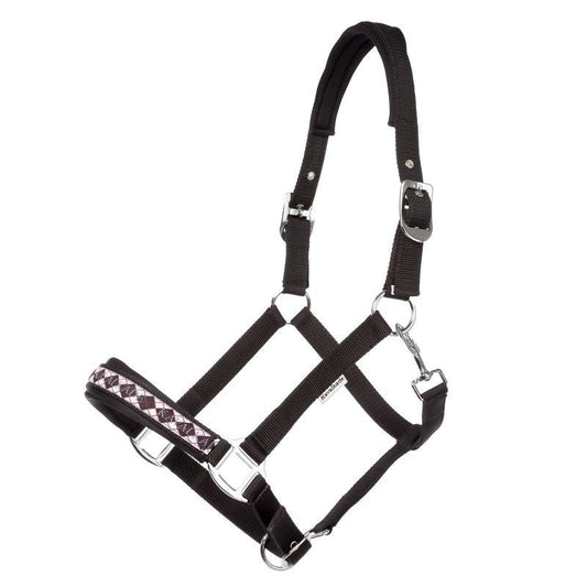 Kavalkade Perlon - Halfter ISLAND CLASSIC, schwarz - IQ Horse