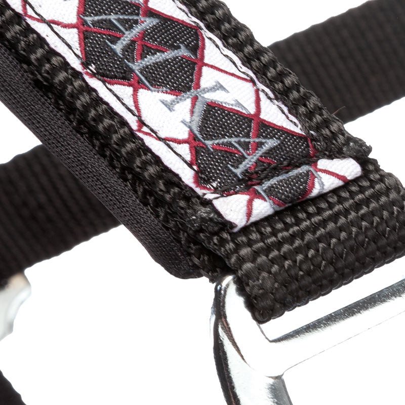 Kavalkade Perlon - Halfter ISLAND CLASSIC, schwarz - IQ Horse