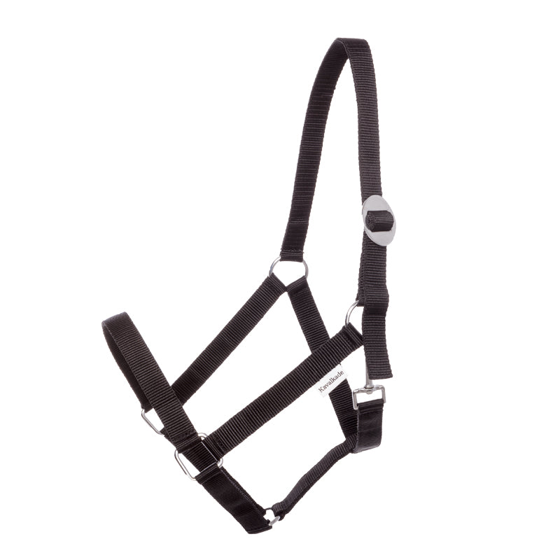 Halfter Simple schwarz