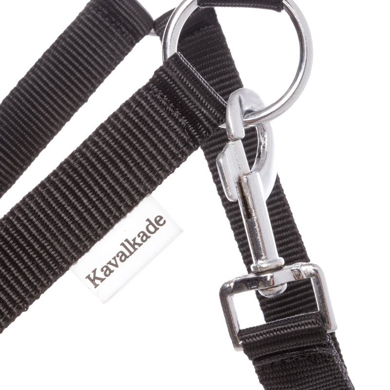 Halfter Simple schwarz