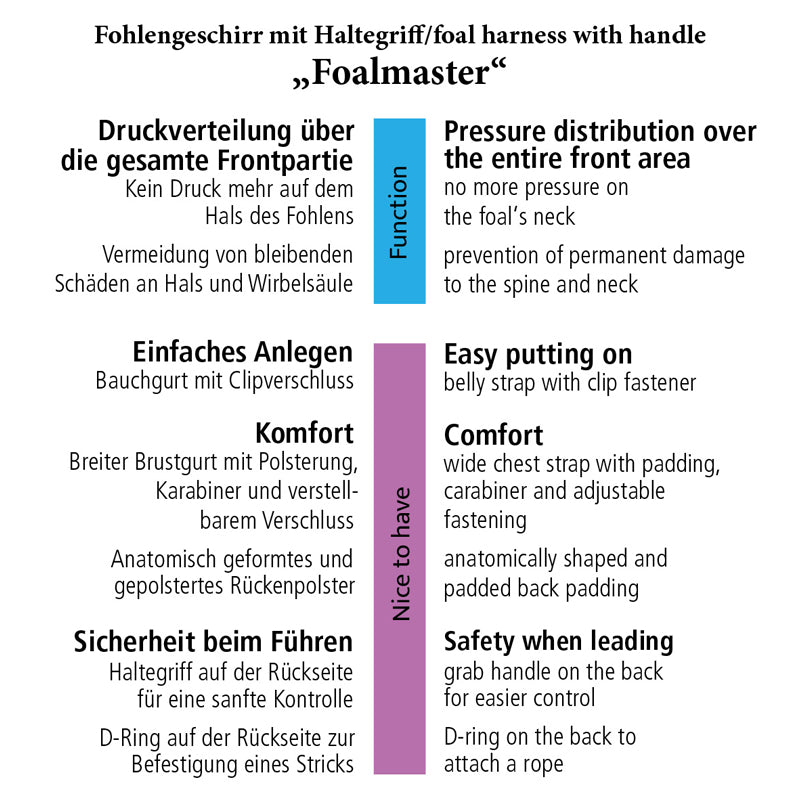 Foalmaster Fohlengeschirr schwarz