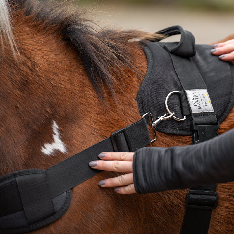 Foalmaster Fohlengeschirr schwarz