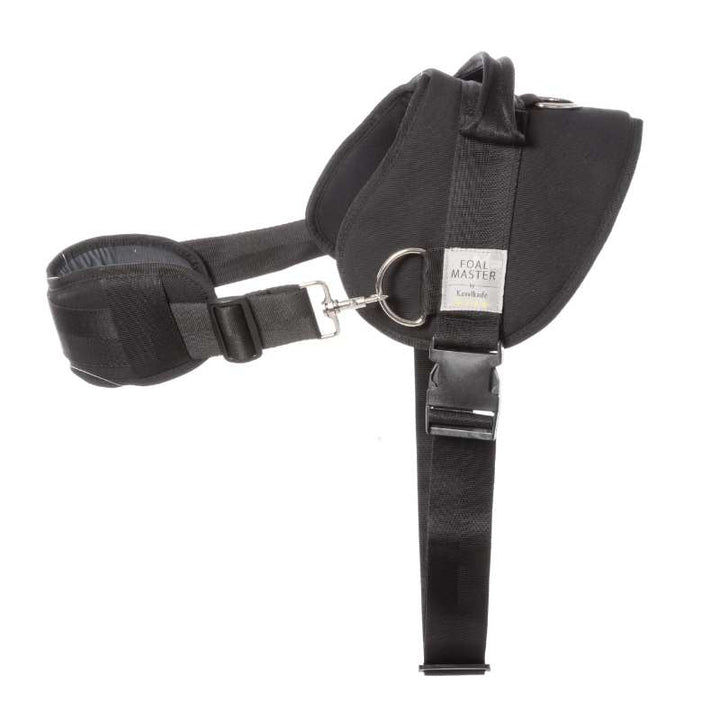 Foalmaster Fohlengeschirr schwarz