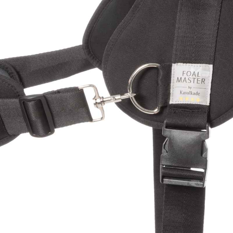 Foalmaster Fohlengeschirr schwarz