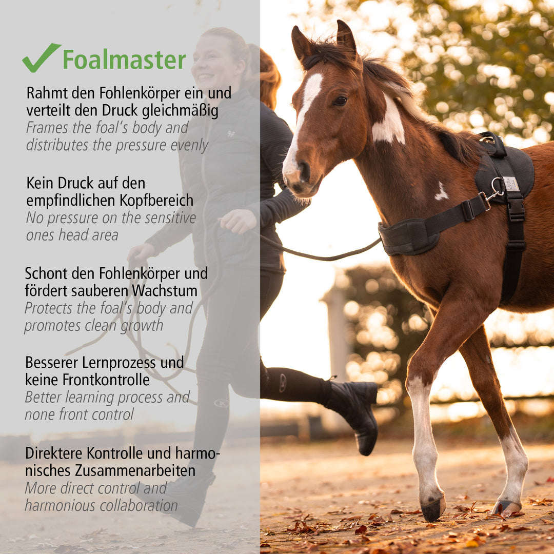 Foalmaster Fohlengeschirr schwarz