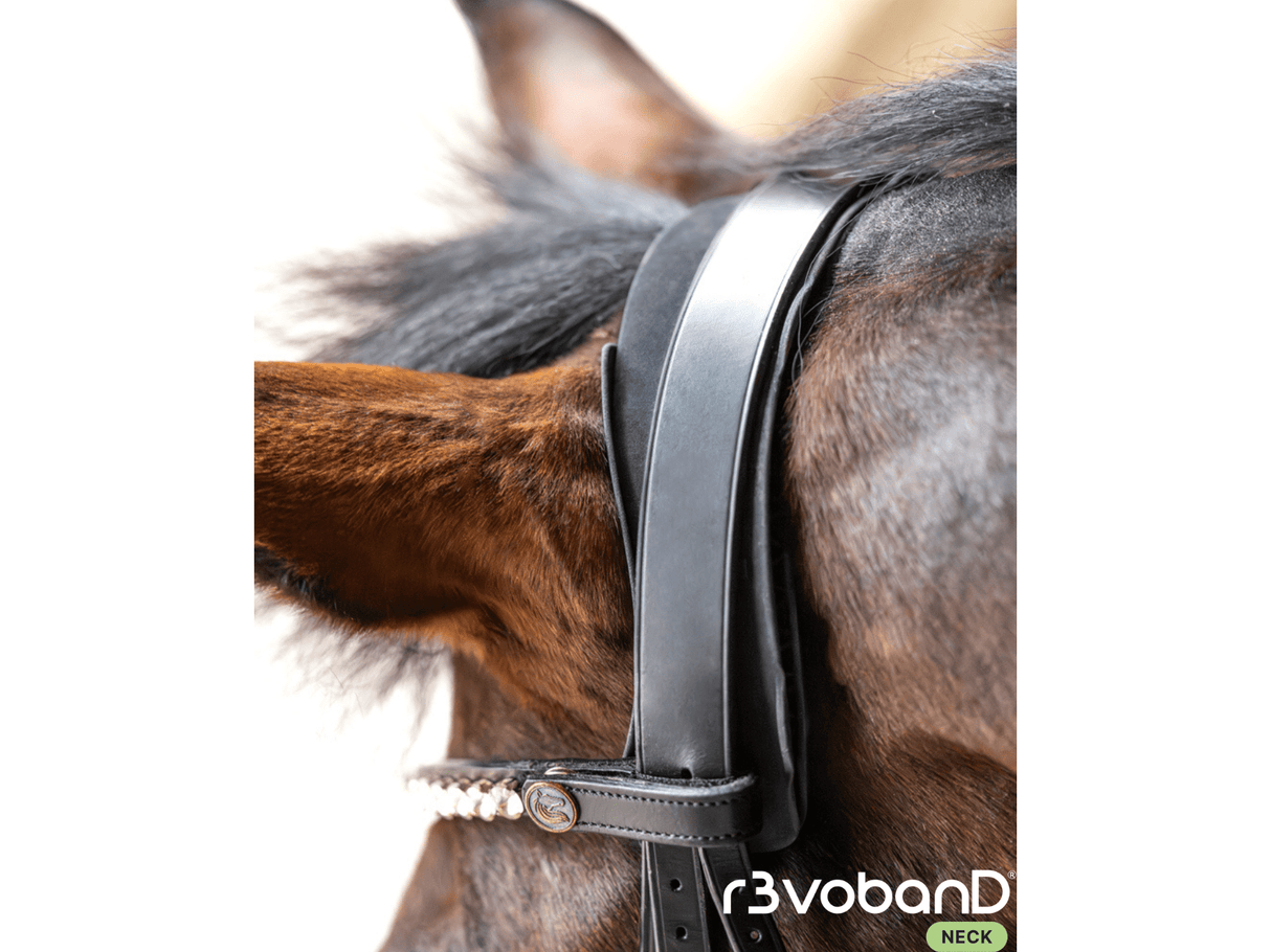 r3vobanD neck - IQ Horse