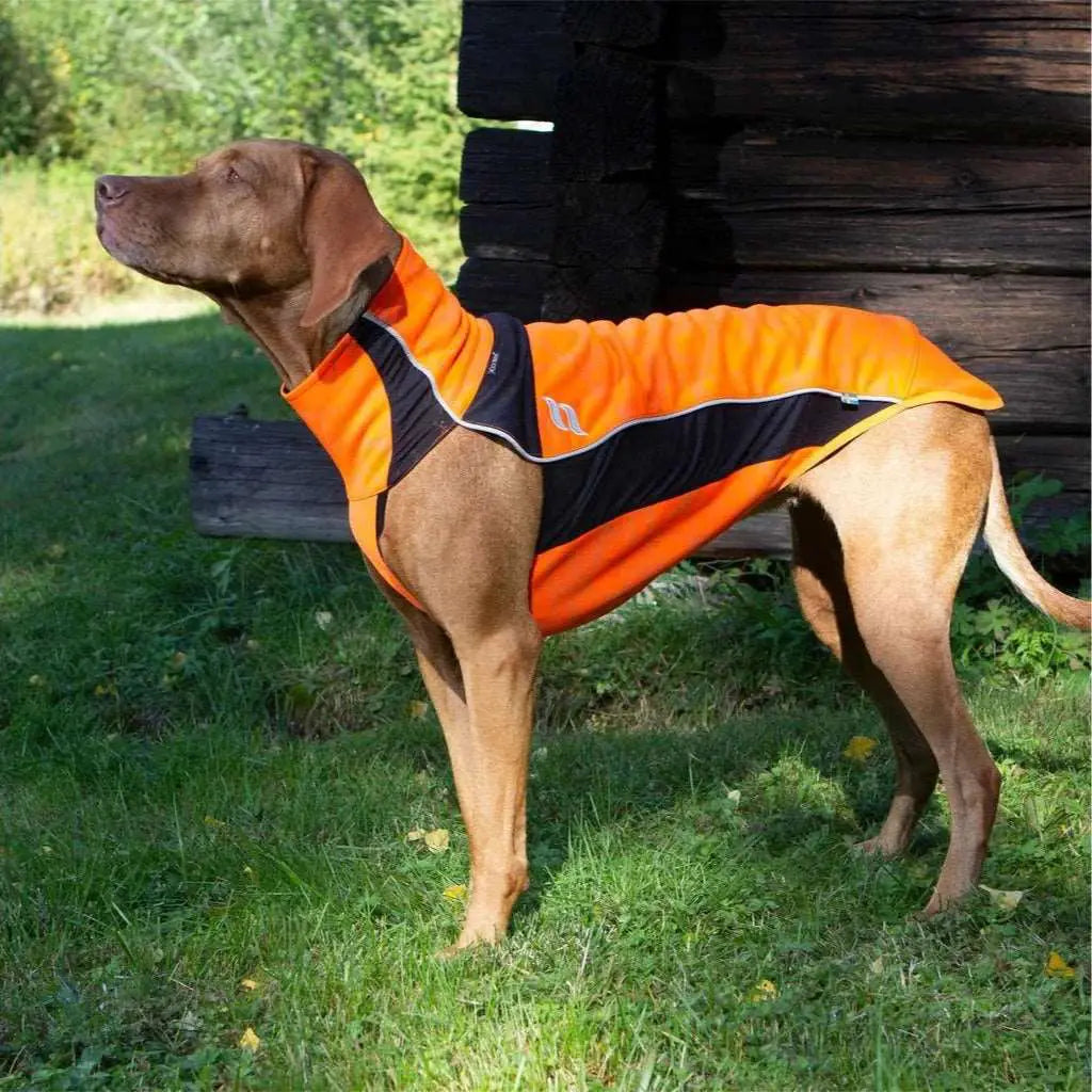 Reflektierender Hundepullover EDDIE - IQ Horse