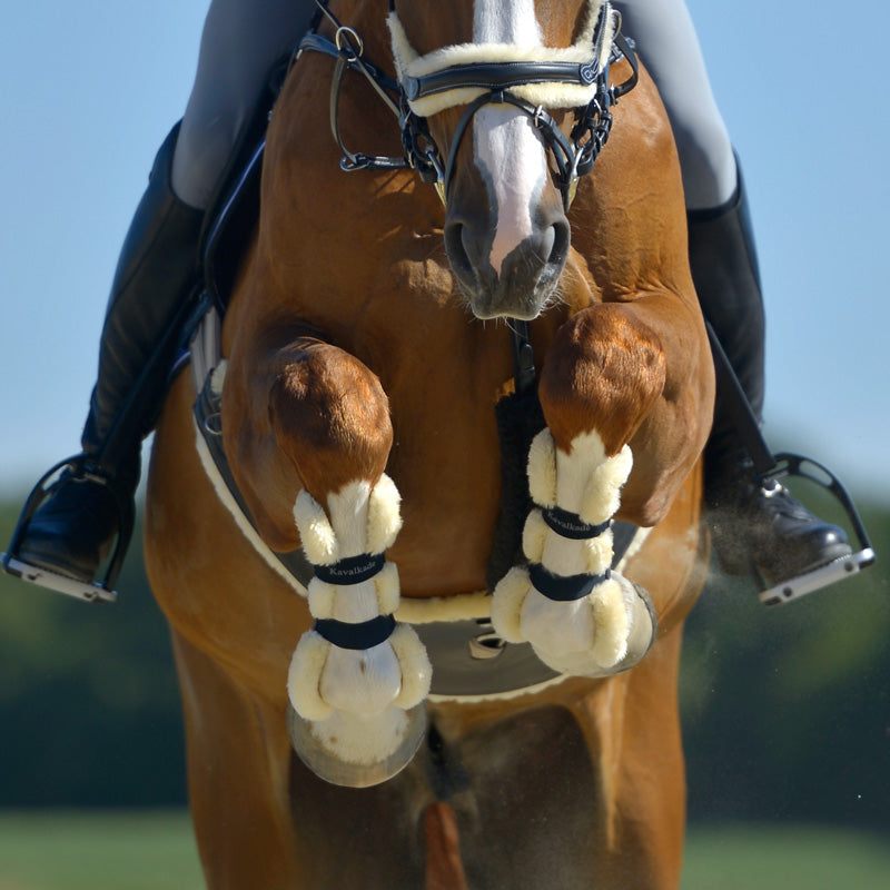 Gamaschen Compete &