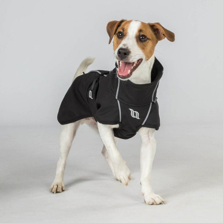 Hundemantel Bark - Allwettermantel - IQ Horse