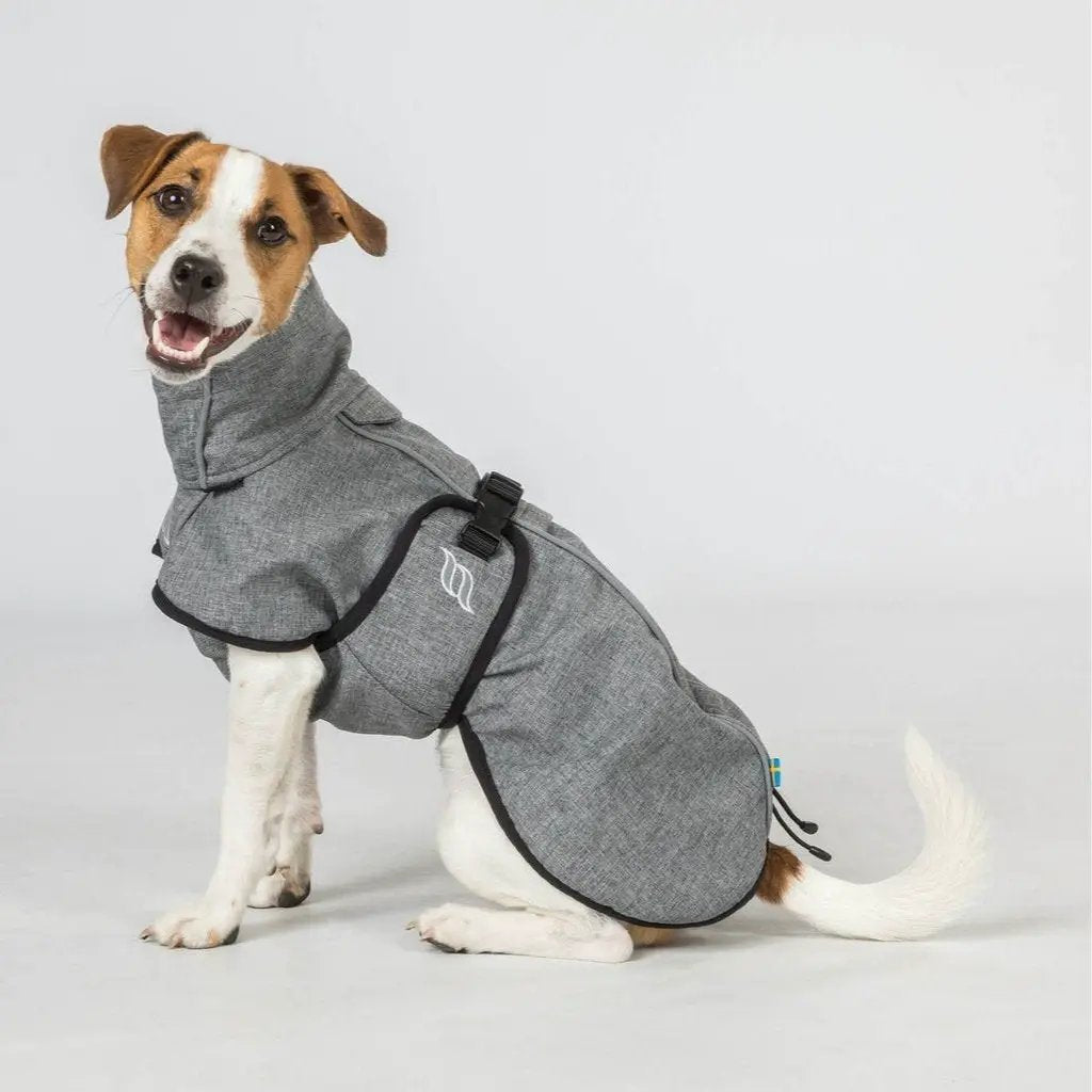Hundemantel Bark - Allwettermantel - IQ Horse