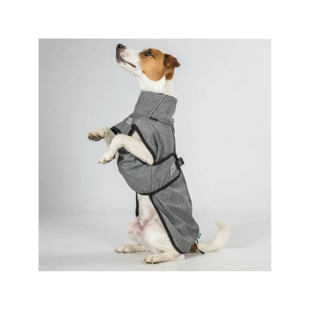 Hundemantel Bark - Allwettermantel - IQ Horse