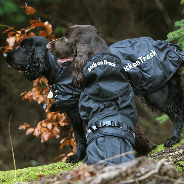 Back on Track Hundemantel Allwettermantel gefüttert - IQ Horse