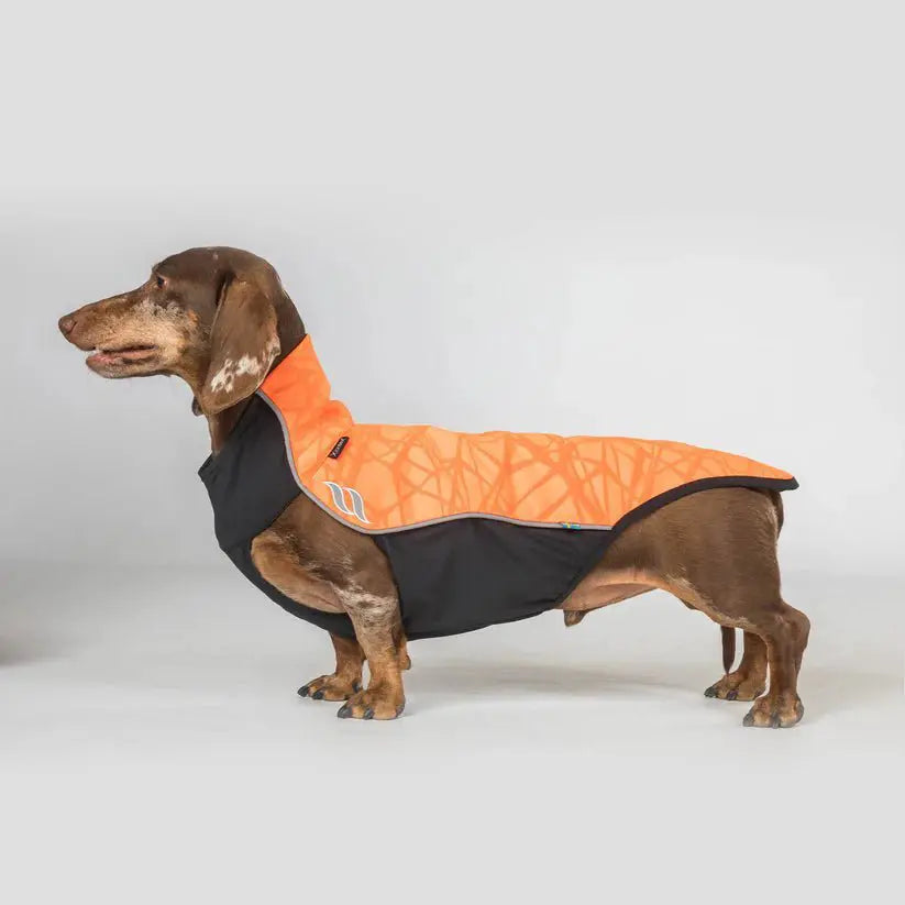 Reflektierender Hundepullover EDDIE - IQ Horse