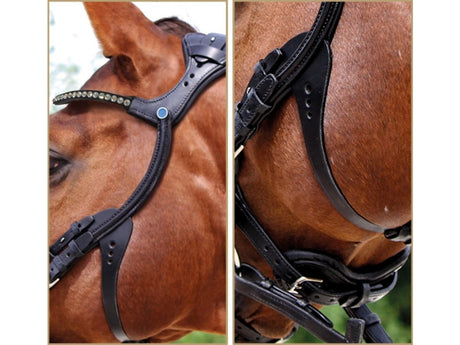 Stübben Trensenzaum 2510 Freedom mit Stirnband Magic Tack - IQ Horse