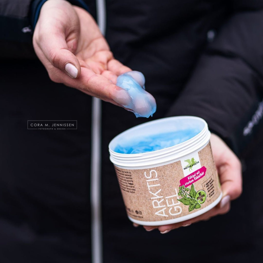 Bense & Eicke Arktis Gel, 500ml - IQ Horse