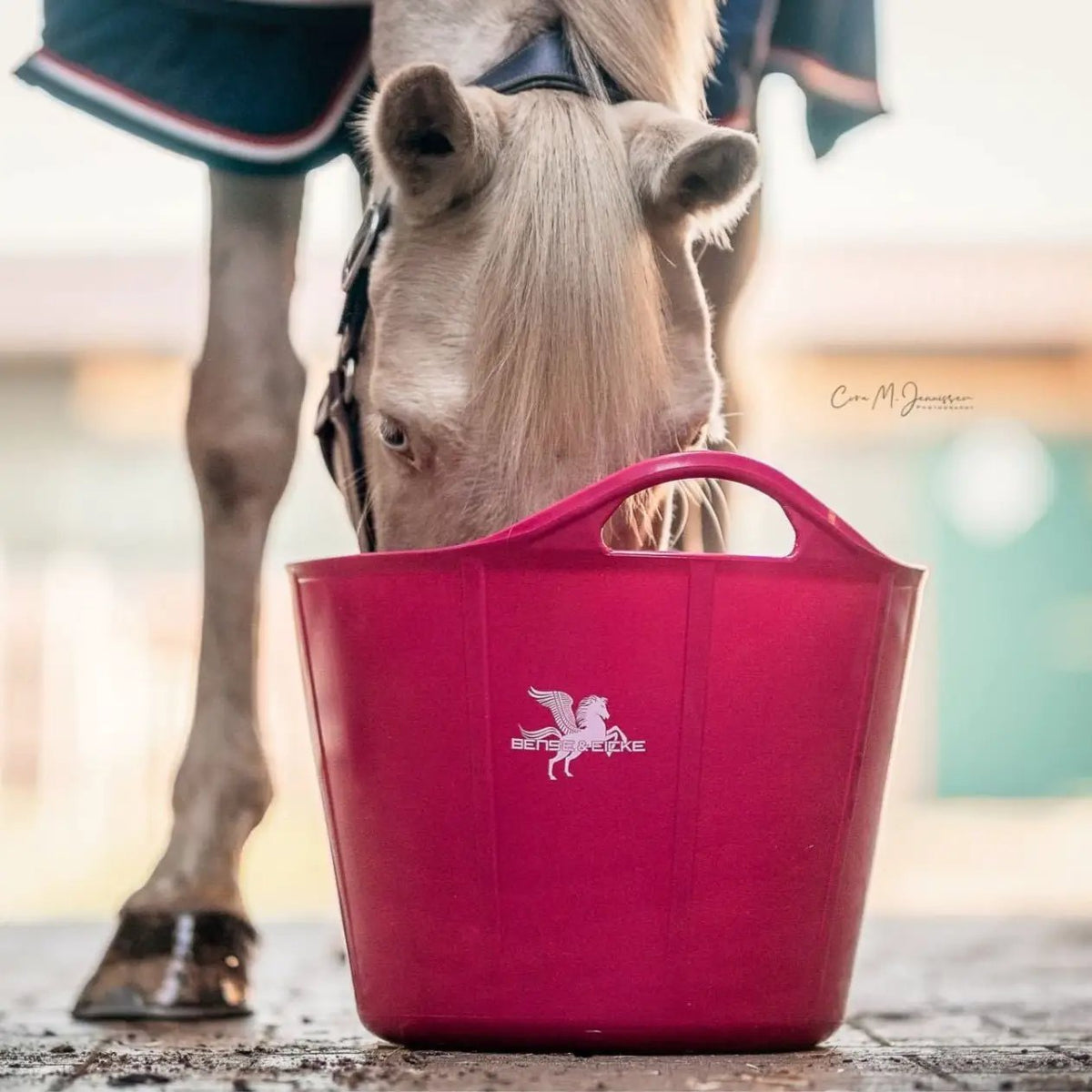Bense & Eicke Flexischale "PinkPearl" 28 l - IQ Horse