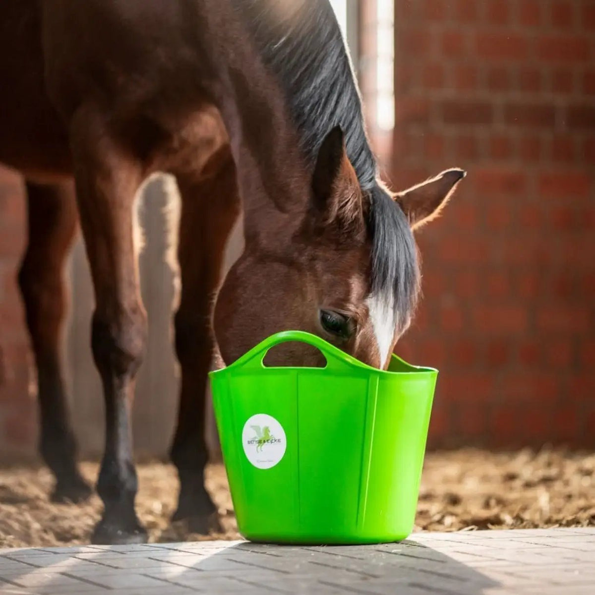 Bense & Eicke Flexischale "GreenPearl" 28 l - IQ Horse