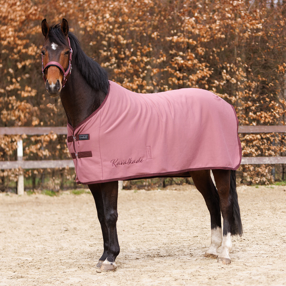 Abschwitzdecke Graceful – Jersey mit Glitzer