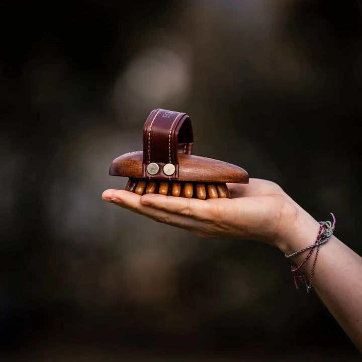 Equimour Massage - Striegel CORNET - IQ Horse