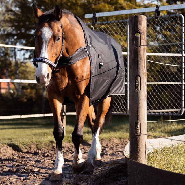 Outdoor - & Führanlagendecke "Halifax" 2in1 200 g - IQ Horse