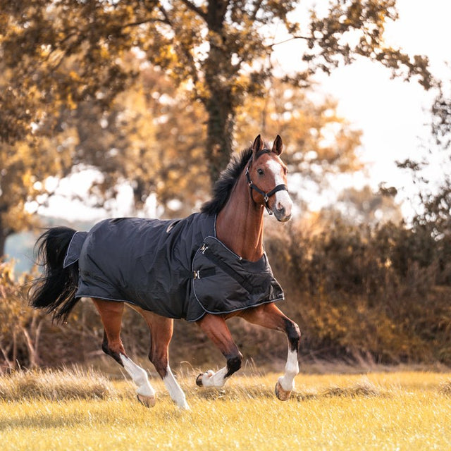 Outdoor - & Führanlagendecke "Halifax" 2in1 200 g - IQ Horse