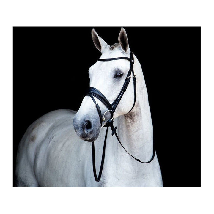 Stübben 2in1 Trensenzaum & Kandarenzaum 2800 Switch (schwarz matt/schwarz) - IQ Horse