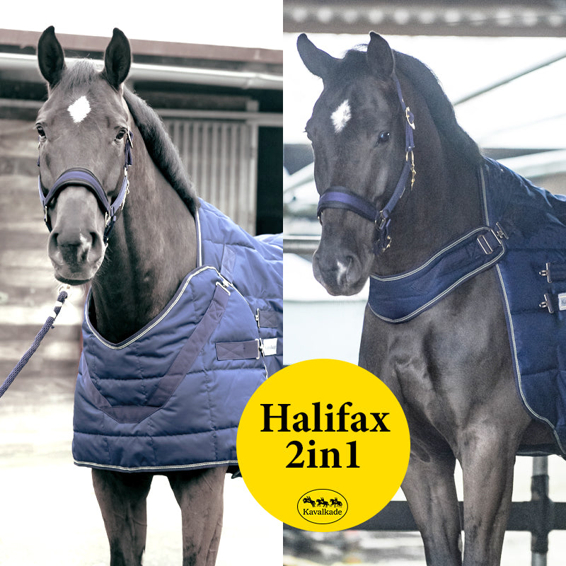 Stalldecke Halifax 2in1 – 400 g, Führanlage