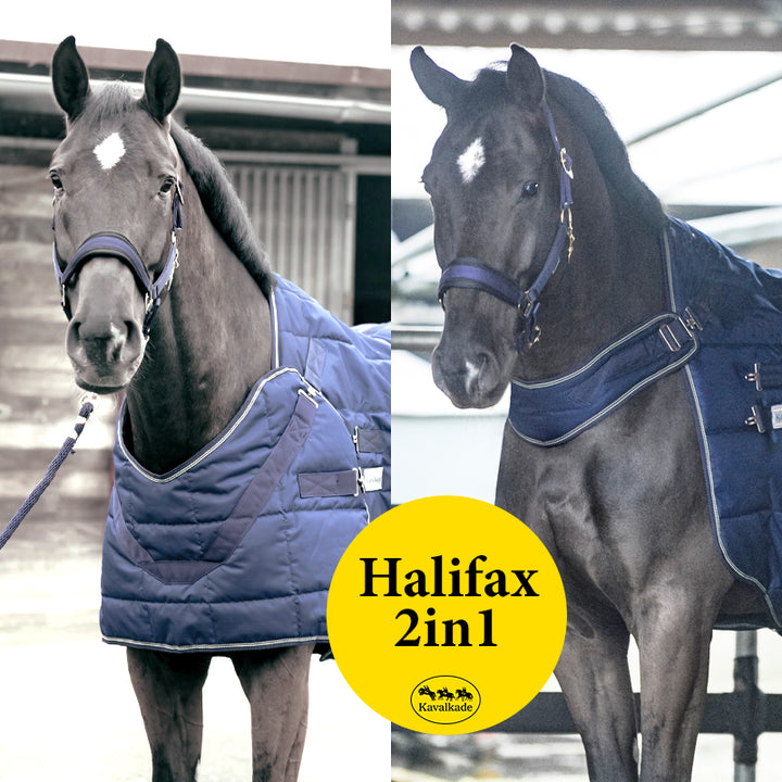 Stalldecke Halifax 2in1 – 400 g, Führanlage