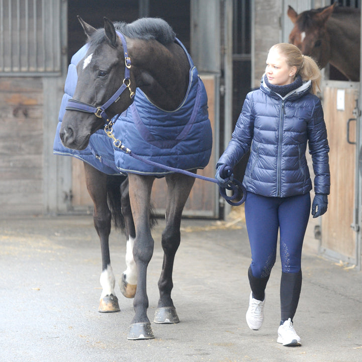 Stalldecke Halifax 2in1 – 400 g, Führanlage