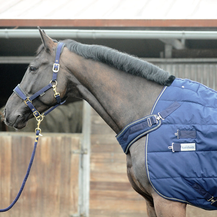 Stalldecke Halifax 2in1 – 400 g, Führanlage