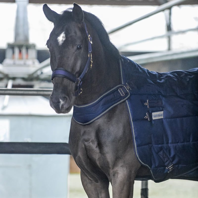 Stalldecke Halifax 2in1 – 400 g, Führanlage