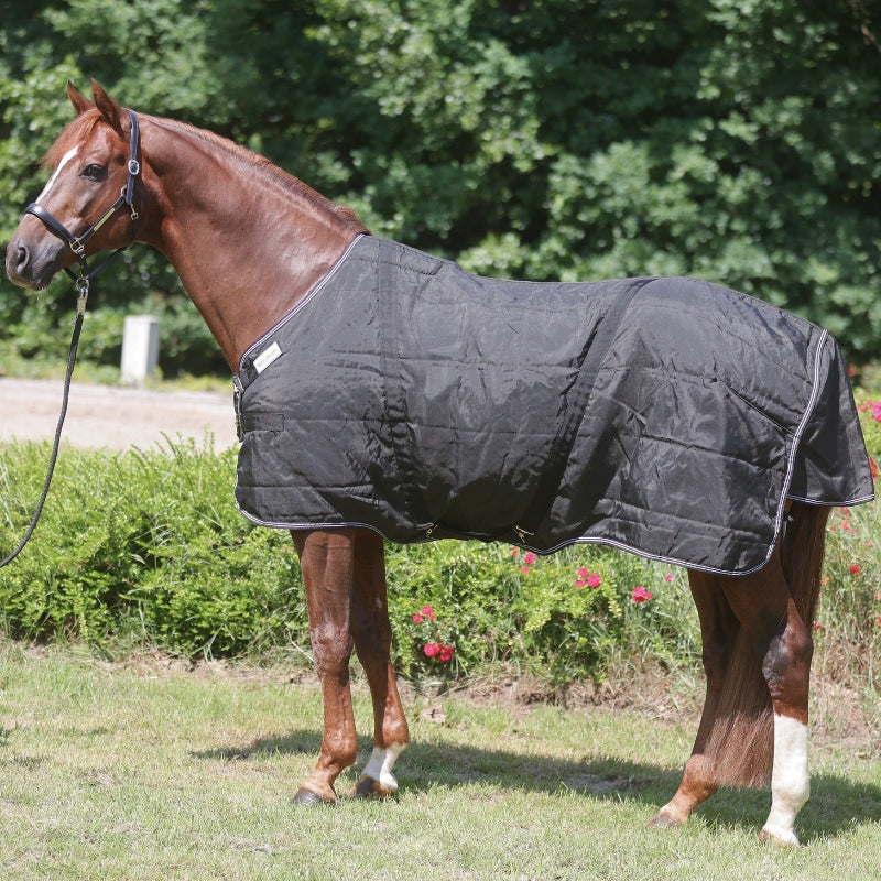Hengstdecke Stallion – Brustlatz, 50 g