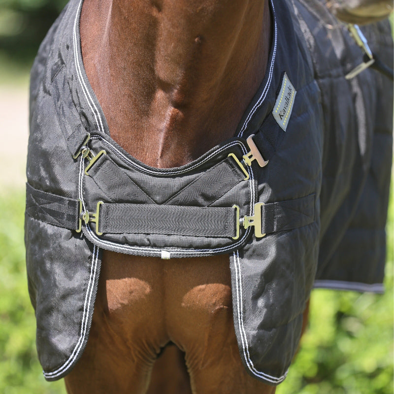 Hengstdecke Stallion – Brustlatz, 50 g