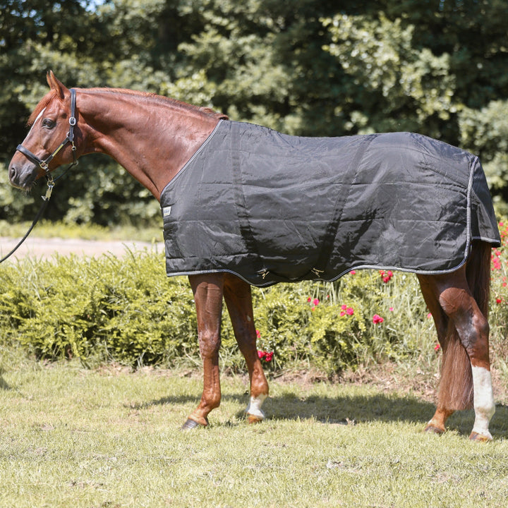 Hengstdecke Stallion – 400 g Füllung