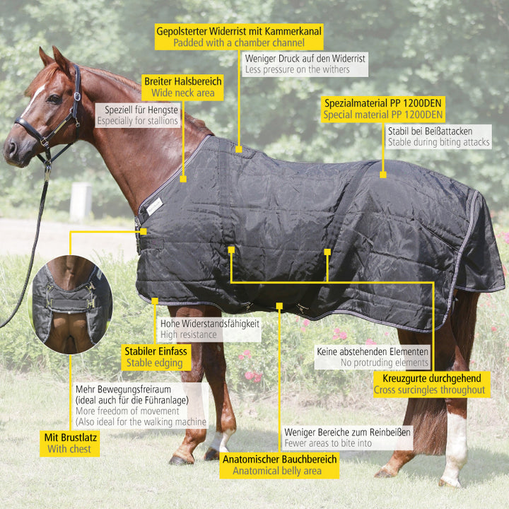 Hengstdecke Stallion – 400 g Füllung